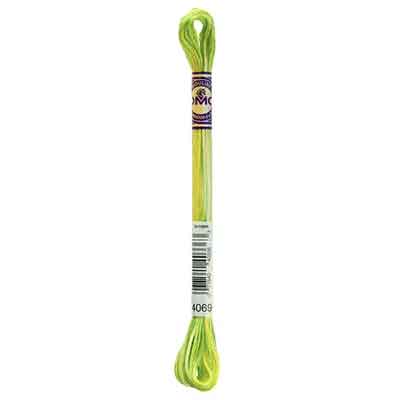 4069Cv floss skein