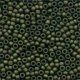 03014 Antique Seed Beads