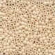 03017 Antique Seed Beads