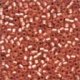 03057 Antique Seed Beads