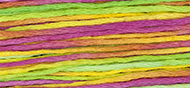 4143 Calypso Weeks Dye Works Floss