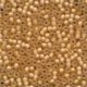 62040  Frosted Glass Beads