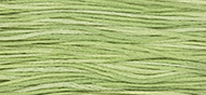 1120 Wasabi Weeks Dye Works Floss