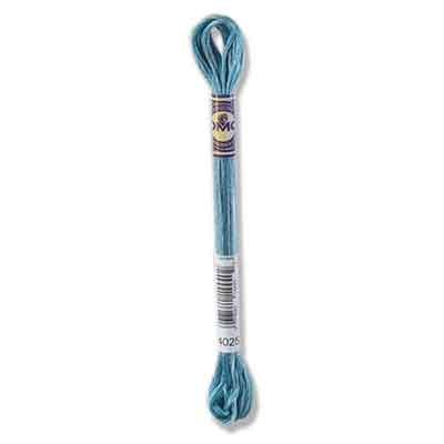 4025cv floss