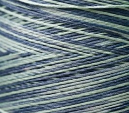 1181 Cape Cod Weeks Dye Works Floss - Image 2