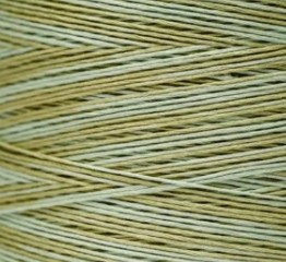 1191 Dried Sage Weeks Dye Works Floss - Image 2