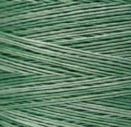 1280 Verdigris Weeks Dye Works Floss - Image 2