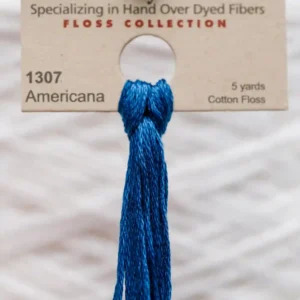 1307 Americana Weeks Dye Works embroidery floss skein