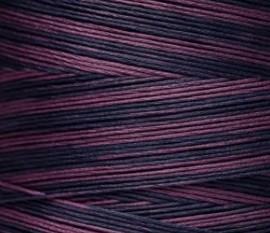 1311 Taffeta Weeks Dye Works Floss - Image 2