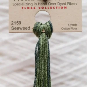 2159 Seaweed Weeks Dye Works embroidery floss skein