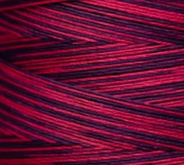 2261 Sedona Weeks Dye Works Floss - Image 2