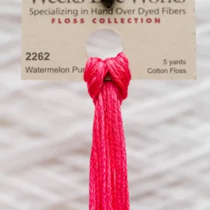 2262 Watermelon Punch Weeks Dye Works embroidery floss skein
