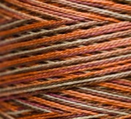 4103 Harvest WDW P5 skein