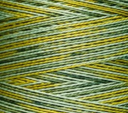 4111 Lucky WDW P5 skein