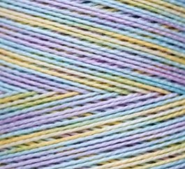 4113 Spring Bouquet WDW P5 skein