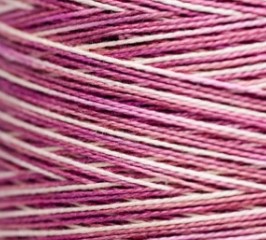 4115 Mothers Day WDW P5 Skein