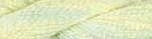 CWL167 Lime Ice